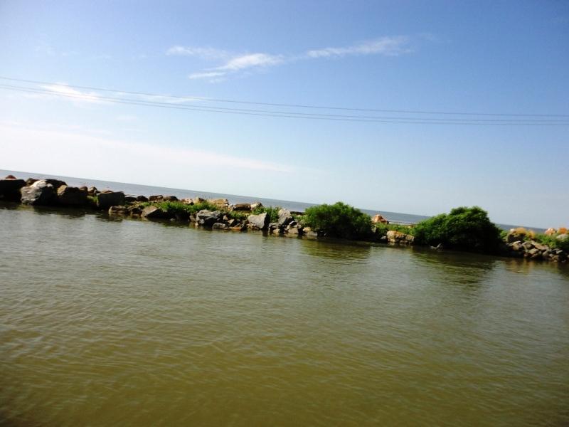 sulina iunie 2013 - dsc09965.JPG